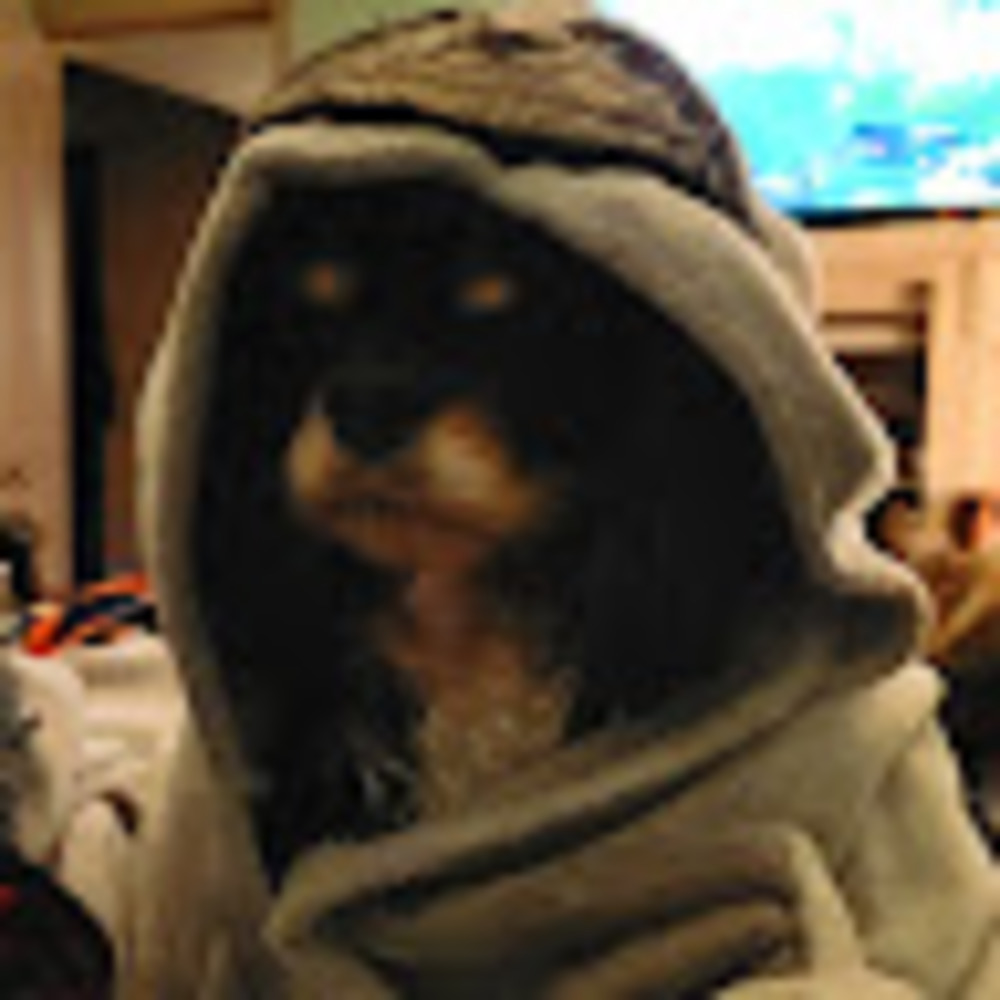 Meet your Posher, Ryan